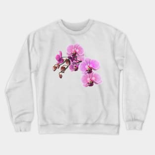 Pink and White Orchids Crewneck Sweatshirt